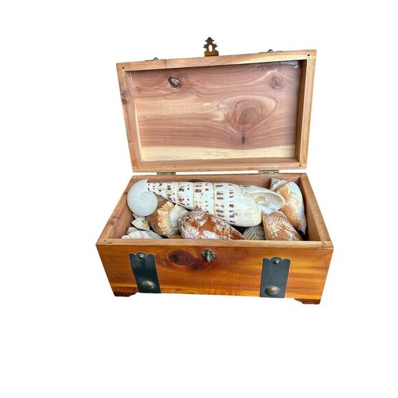 Vintage G. Merz & Son Chicago Wooden Box Treasure Box Full Of Seashells Jewelry - Picture 1 of 13